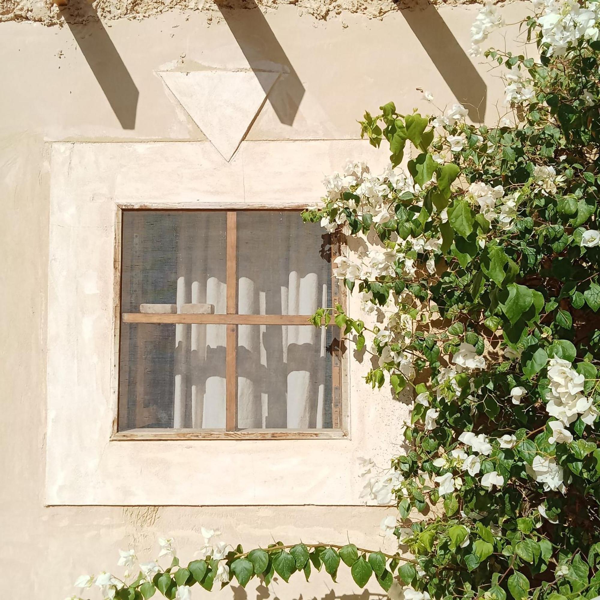 Tanirt Ecolodge Siwa Oasis Zewnętrze zdjęcie