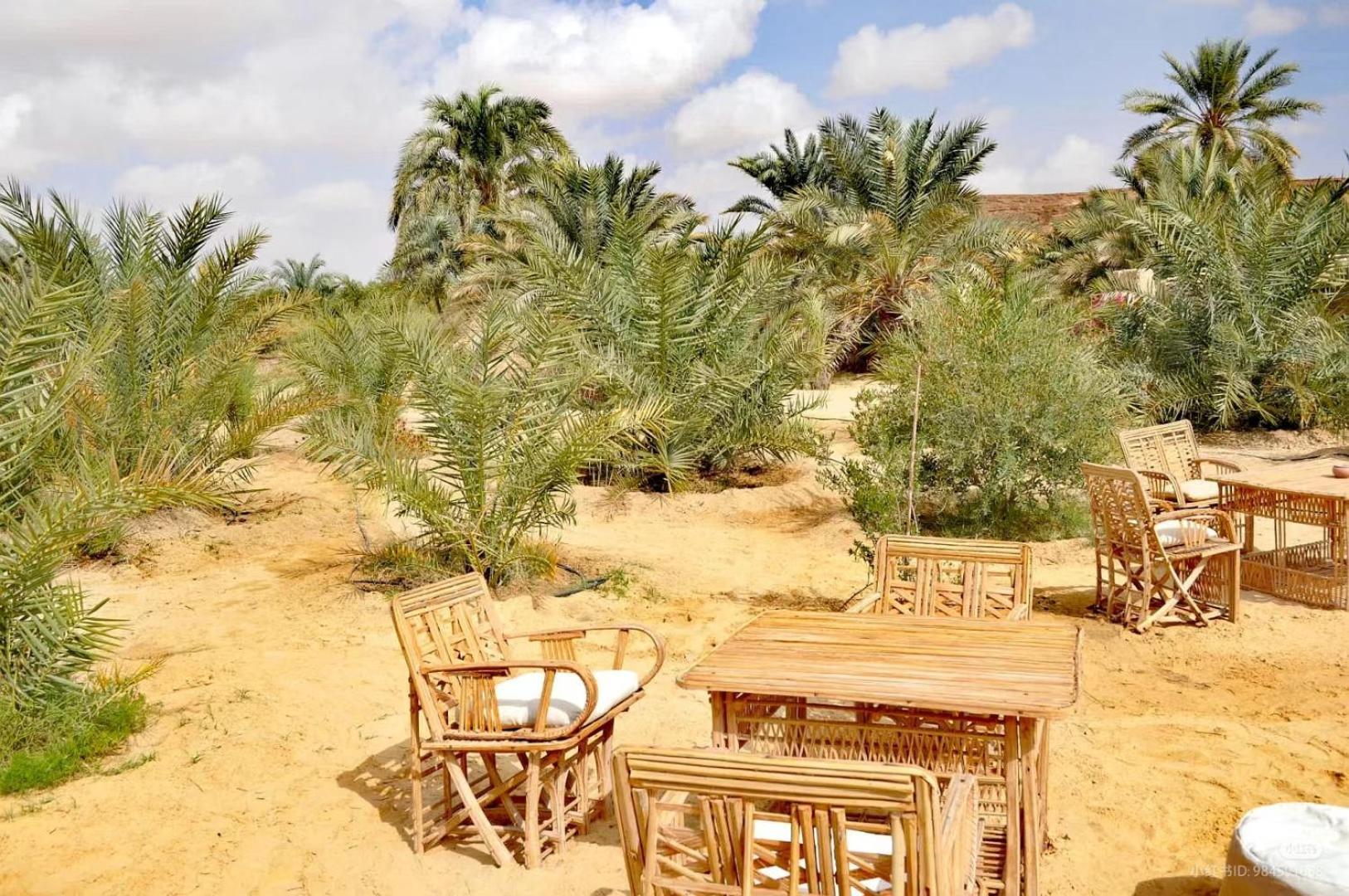 Tanirt Ecolodge Siwa Oasis Zewnętrze zdjęcie