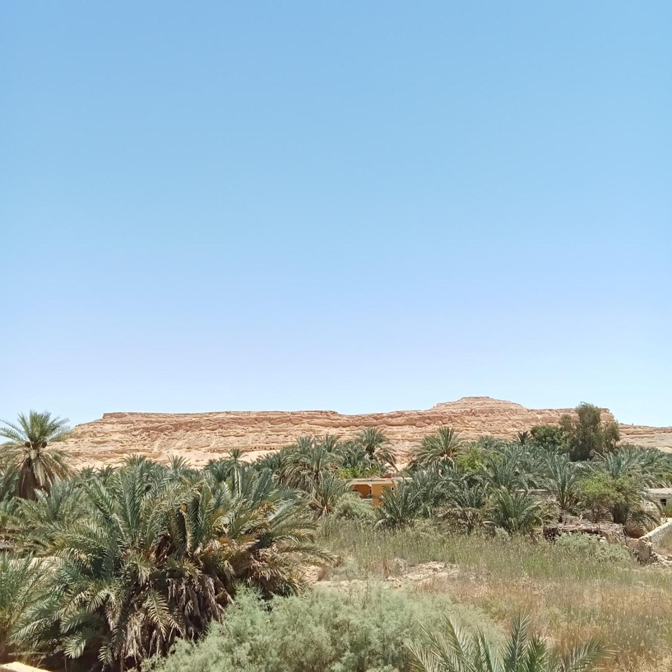 Tanirt Ecolodge Siwa Oasis Zewnętrze zdjęcie