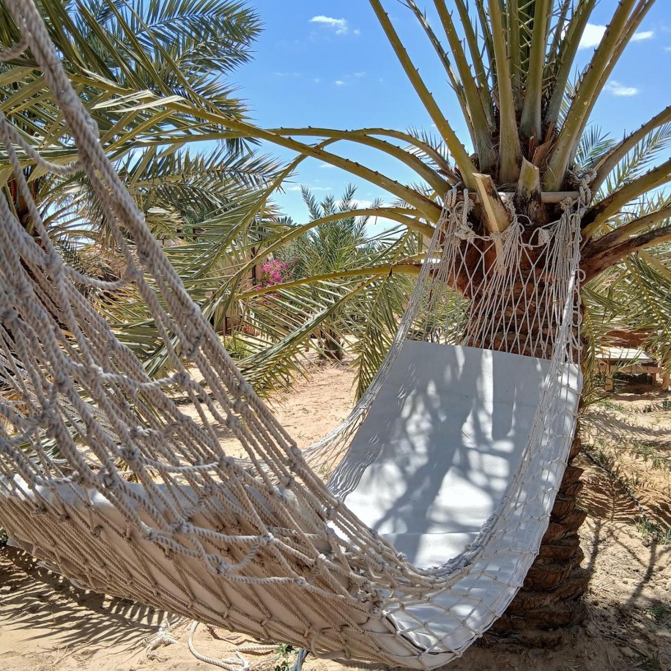 Tanirt Ecolodge Siwa Oasis Zewnętrze zdjęcie